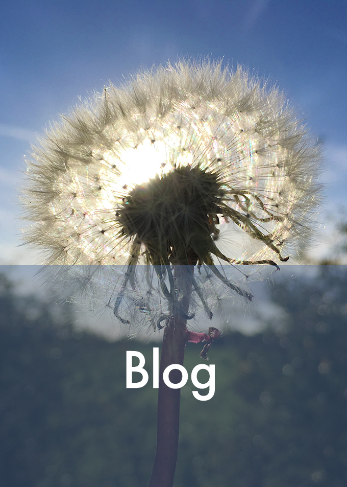 Blog categorie