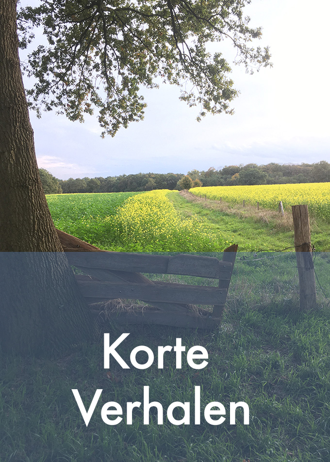 Korte verhalen categorie b680
