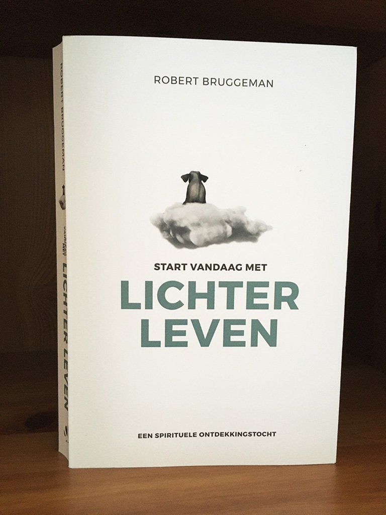 Boekomslag Lichter Leven Bruggeman